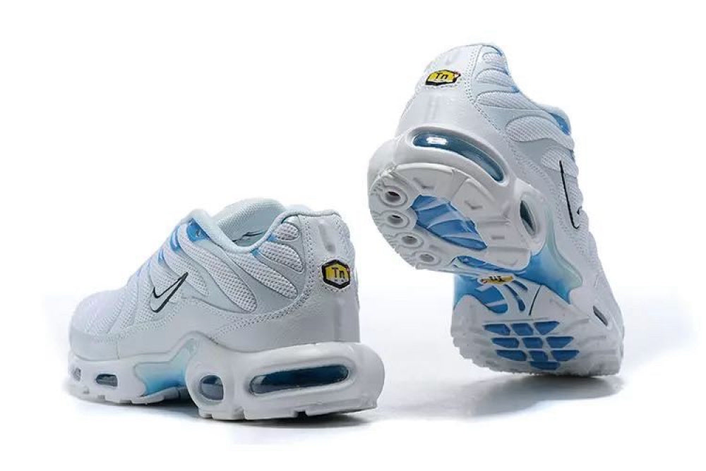 Air Max TN Plus "Blue Fury"