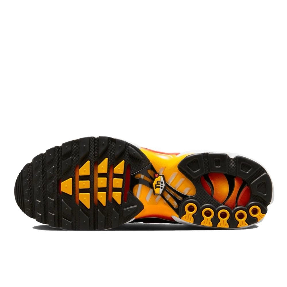 Air Max TN Plus "Rainbow"