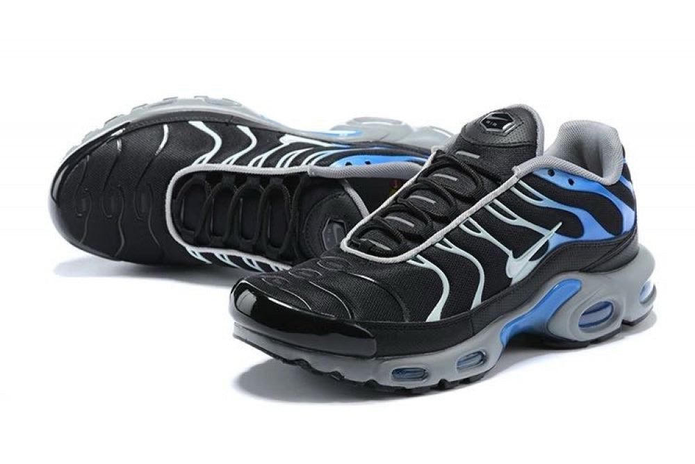 Air Max TN Plus "Reverse Blue"