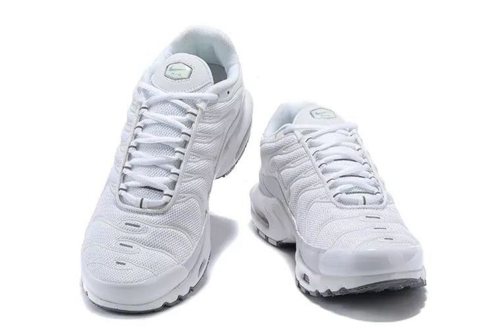 Air Max TN Plus "White"